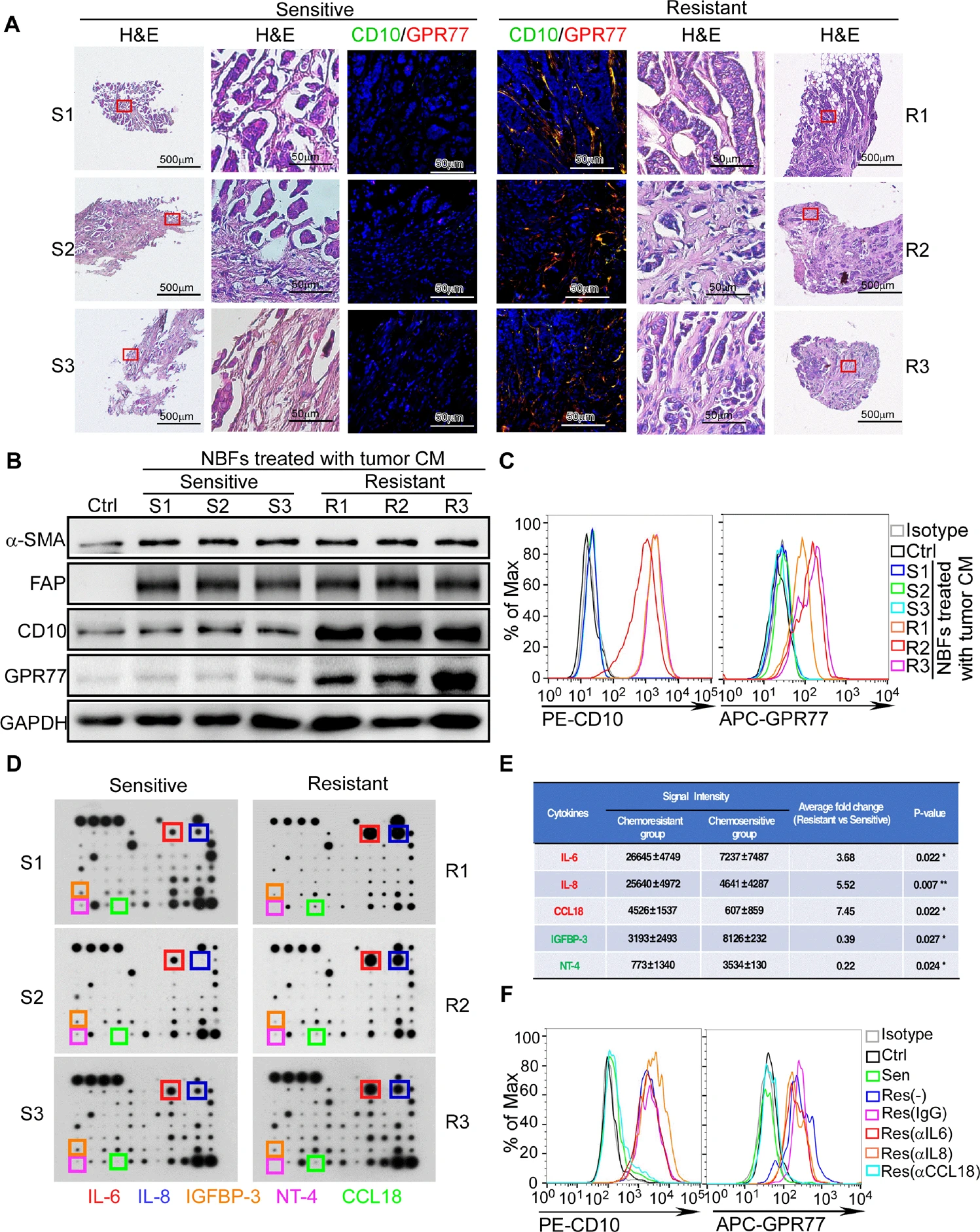 Raybio Oncogene(IF:8.756)|RayBio抗体芯片助力助力乳腺癌治疗研究 - 知乎