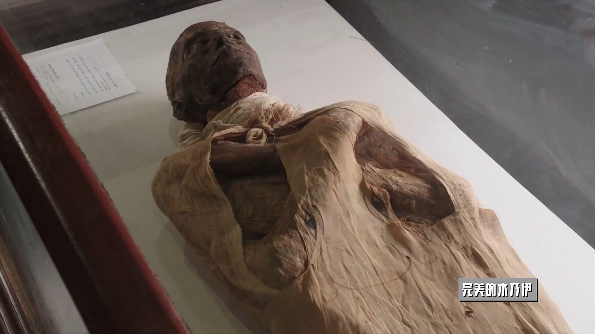 古埃及人掌握了高超的外科整形术近乎完美的塞提一世木乃伊