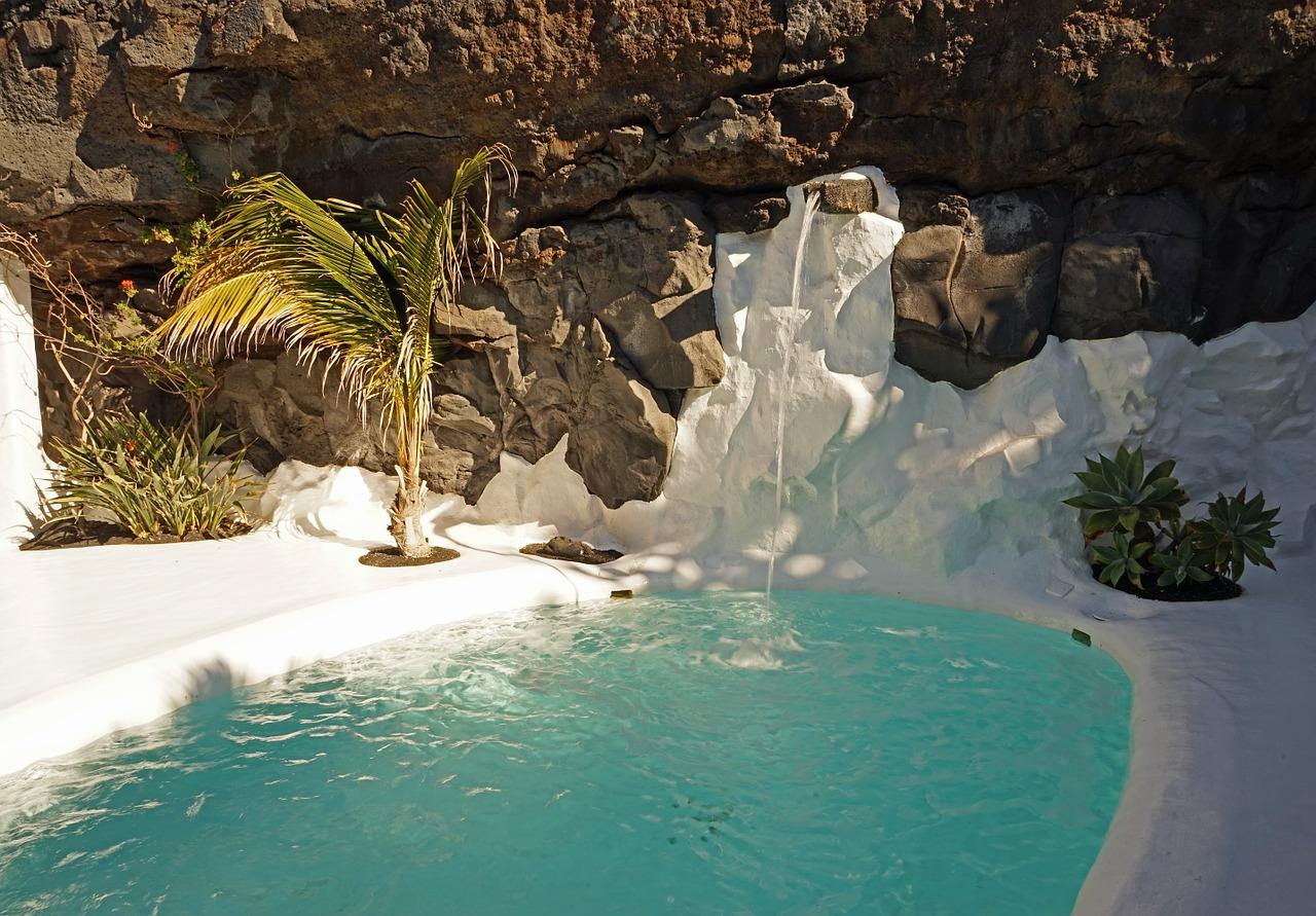 4. 池塘美植指南