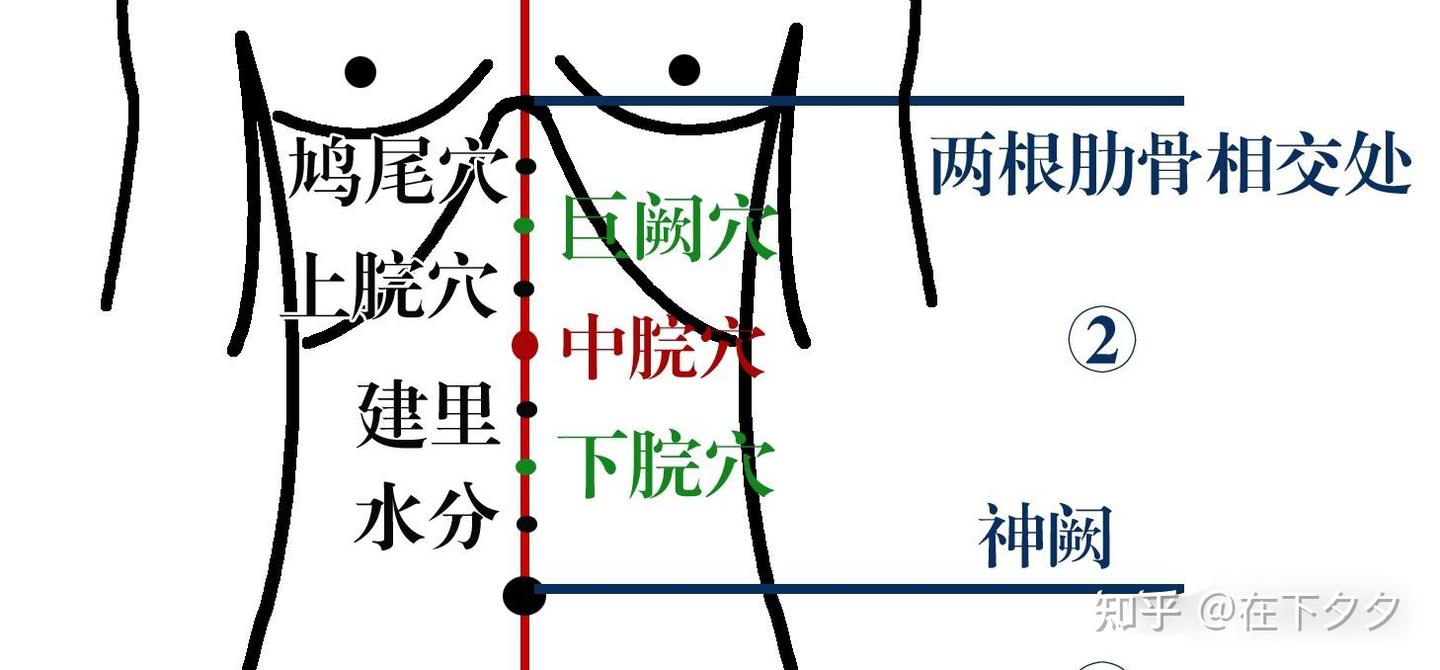人纪系列——(总结7-10)针灸任脉分段穴位 - 知乎