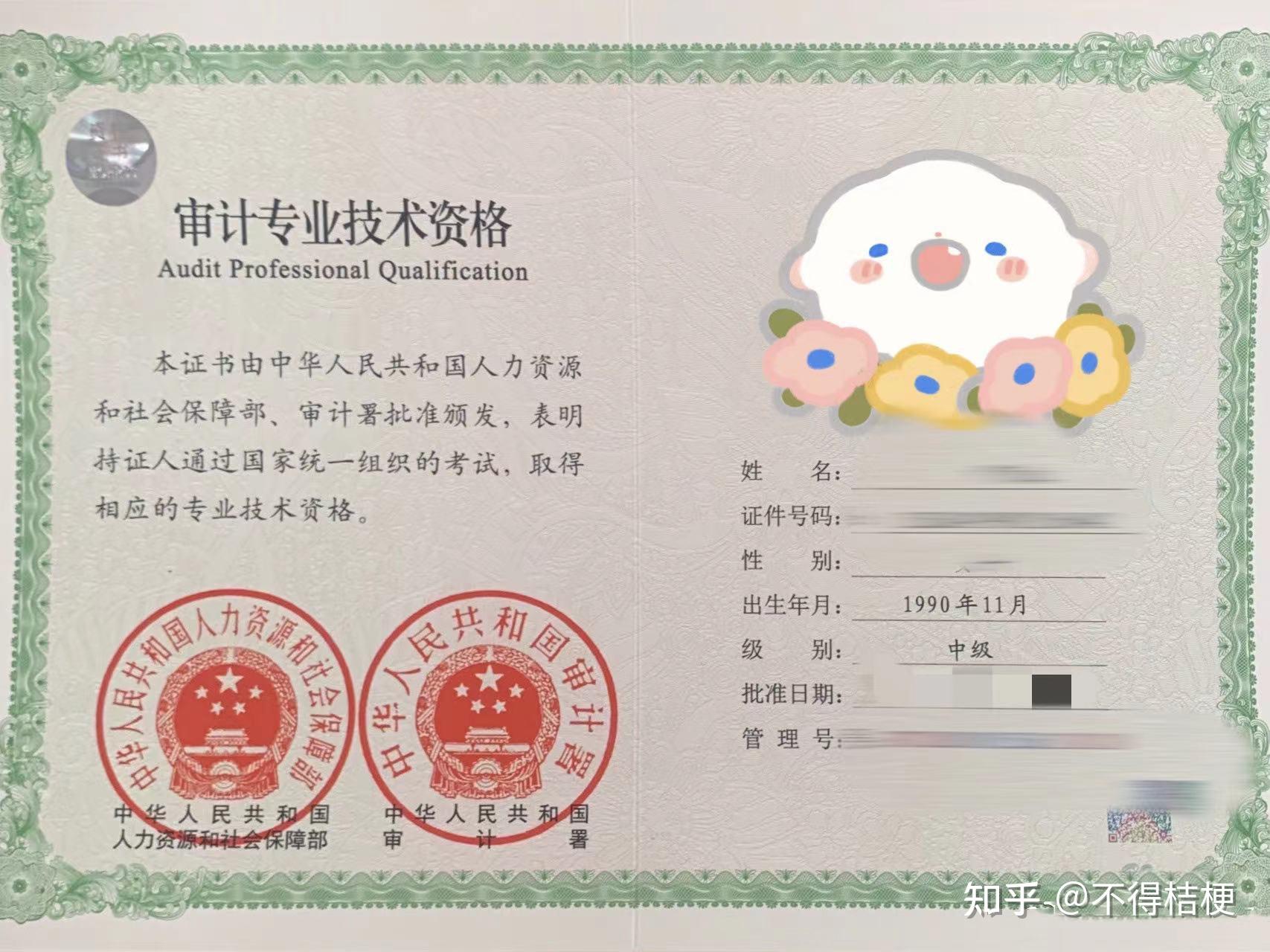 初级审计师备考最全攻略(一篇足够) - 知乎