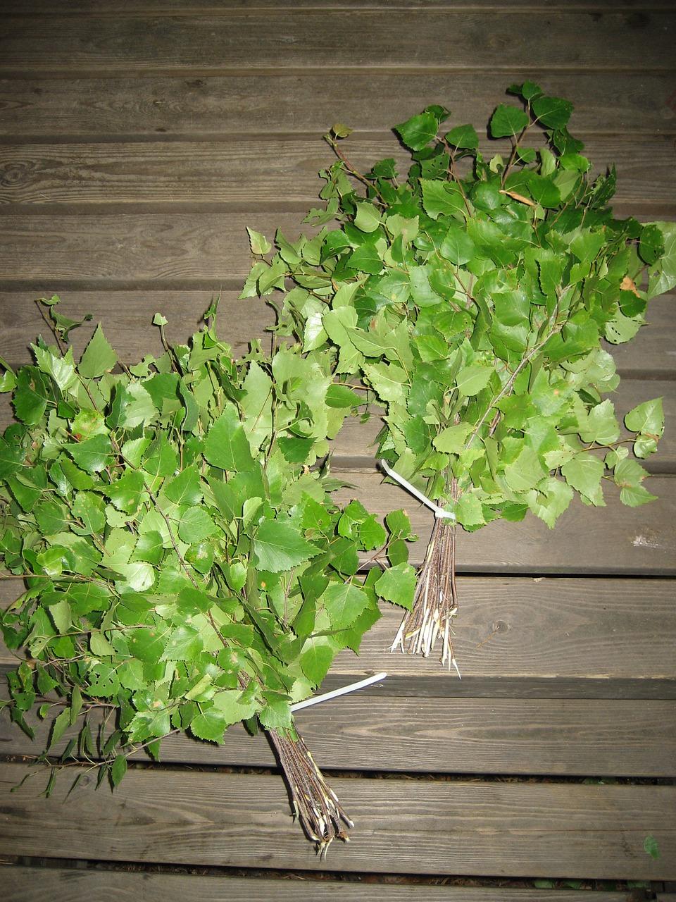 2. 控温至适宜温度