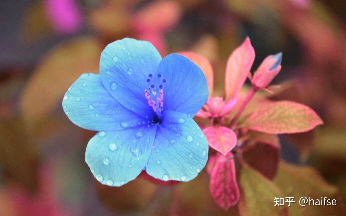 instagram一打开就闪退- 知乎