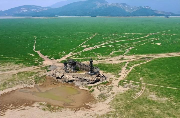 江西鄱阳湖湖底为什么会出现“大地之树”景观？ - 知乎