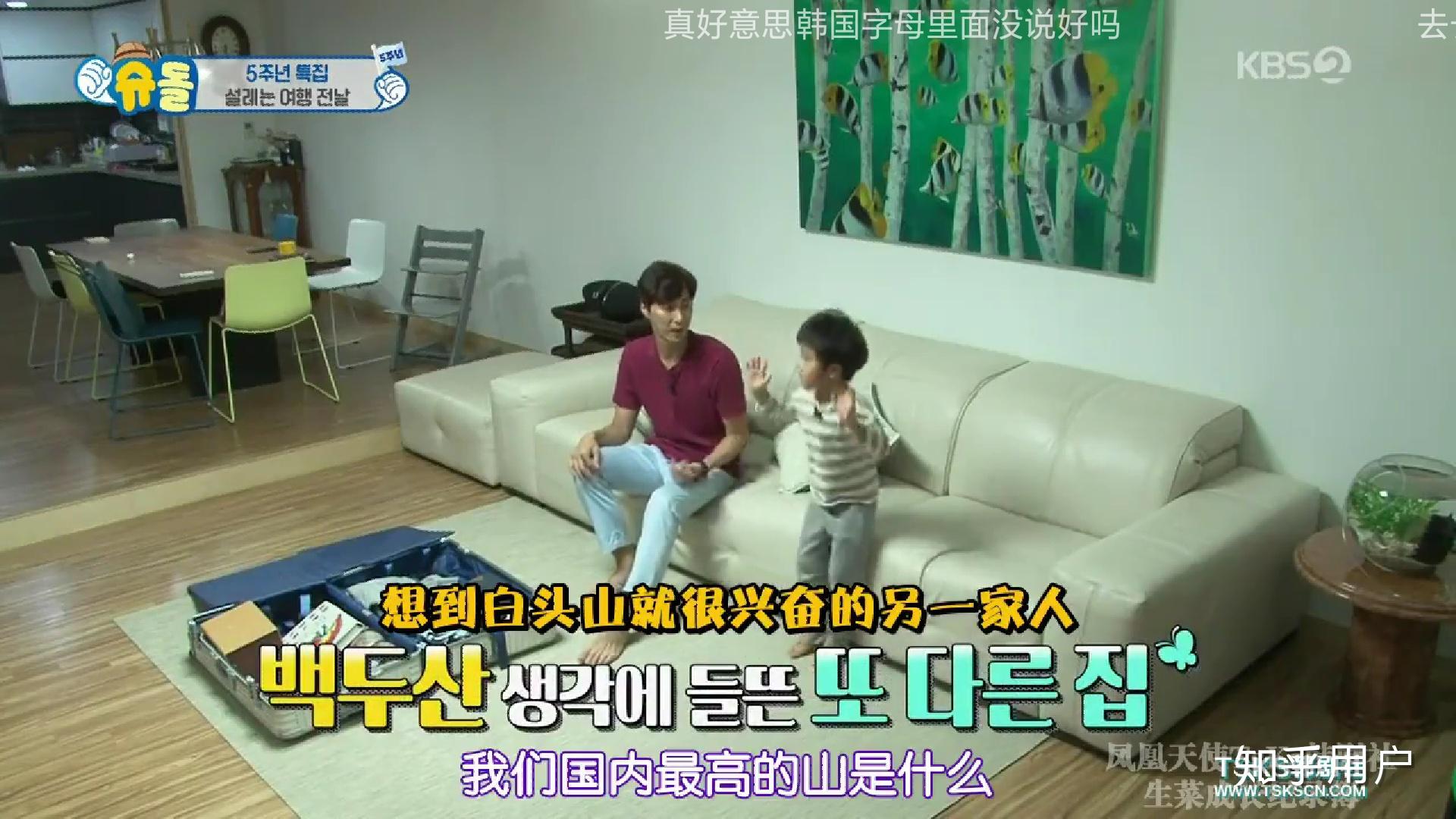 你们对韩国超人回来了的节目有什麼看法和感想