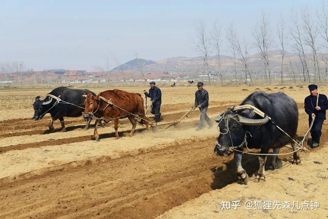 为何我国古代农业没有革命性的进步