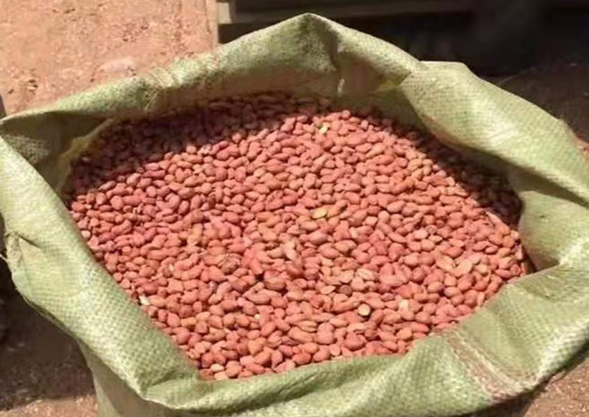 花生进口清关 从塞内加尔进口花生申报要素流程解析 知乎