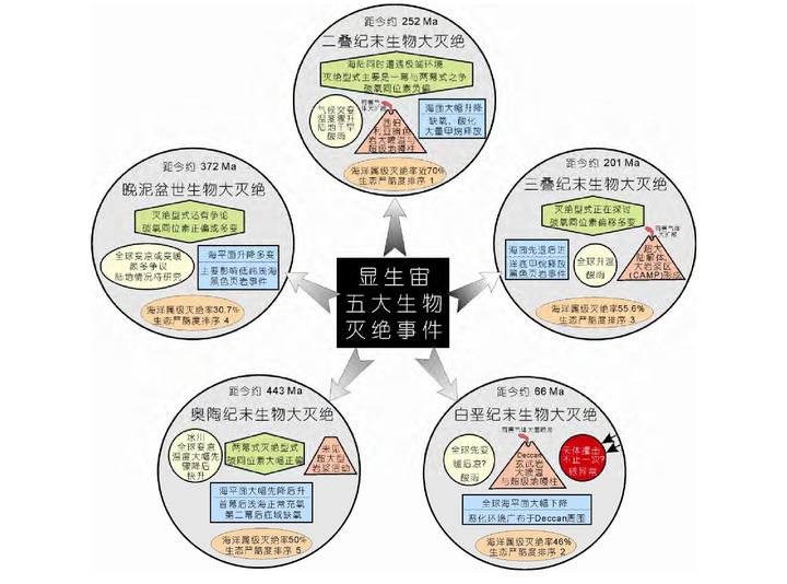 浅谈生物进化的重要形式 生物灭绝与辐射 知乎