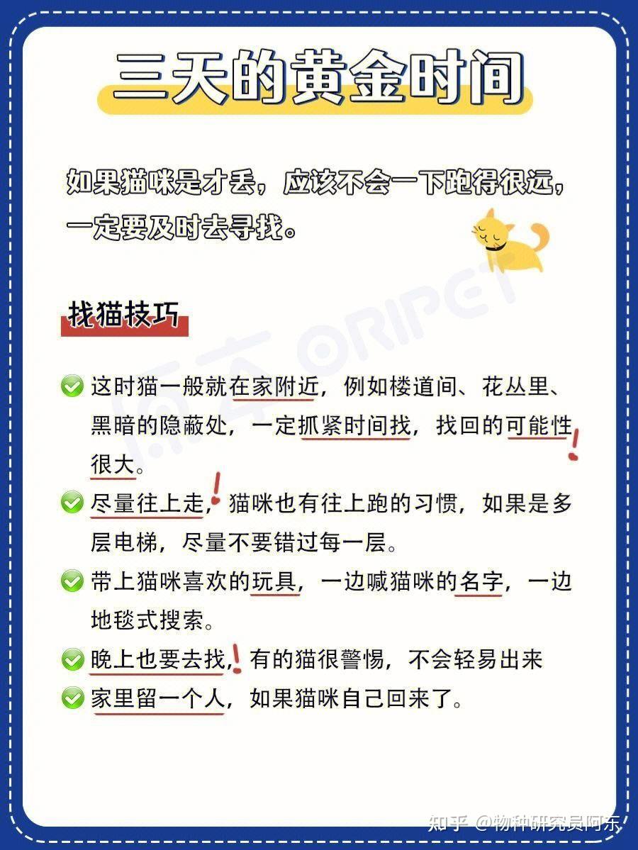 请问猫丢了应该怎么找啊?已经快两个月了,心里一直闷不过,还有希望吗?