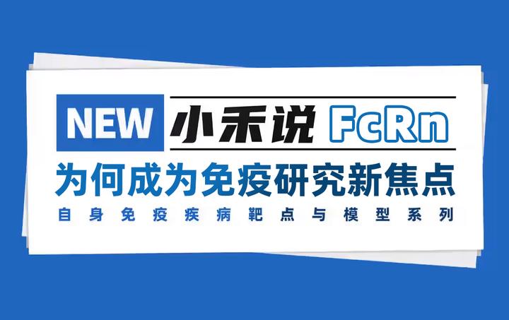 小禾说 | 自身免疫疾病靶点与模型系列(12)——FcRn为何成为免疫研究新焦点？ - 知乎