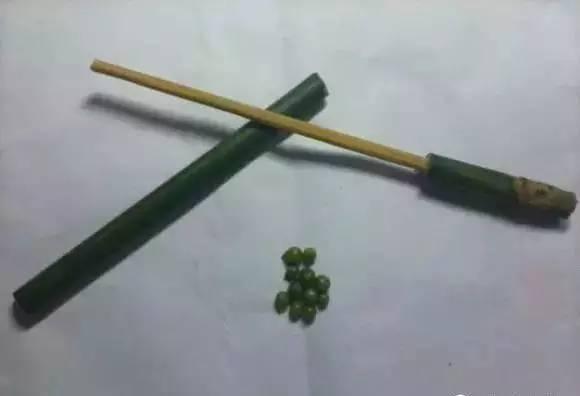 小时候打竹枪用的是什么树的果子? - 知乎