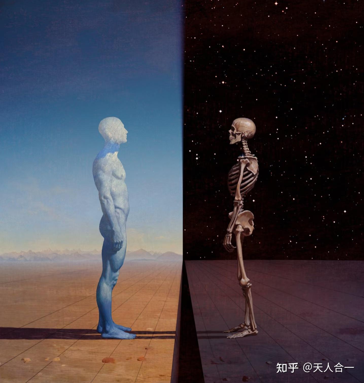 论生死 - 知乎