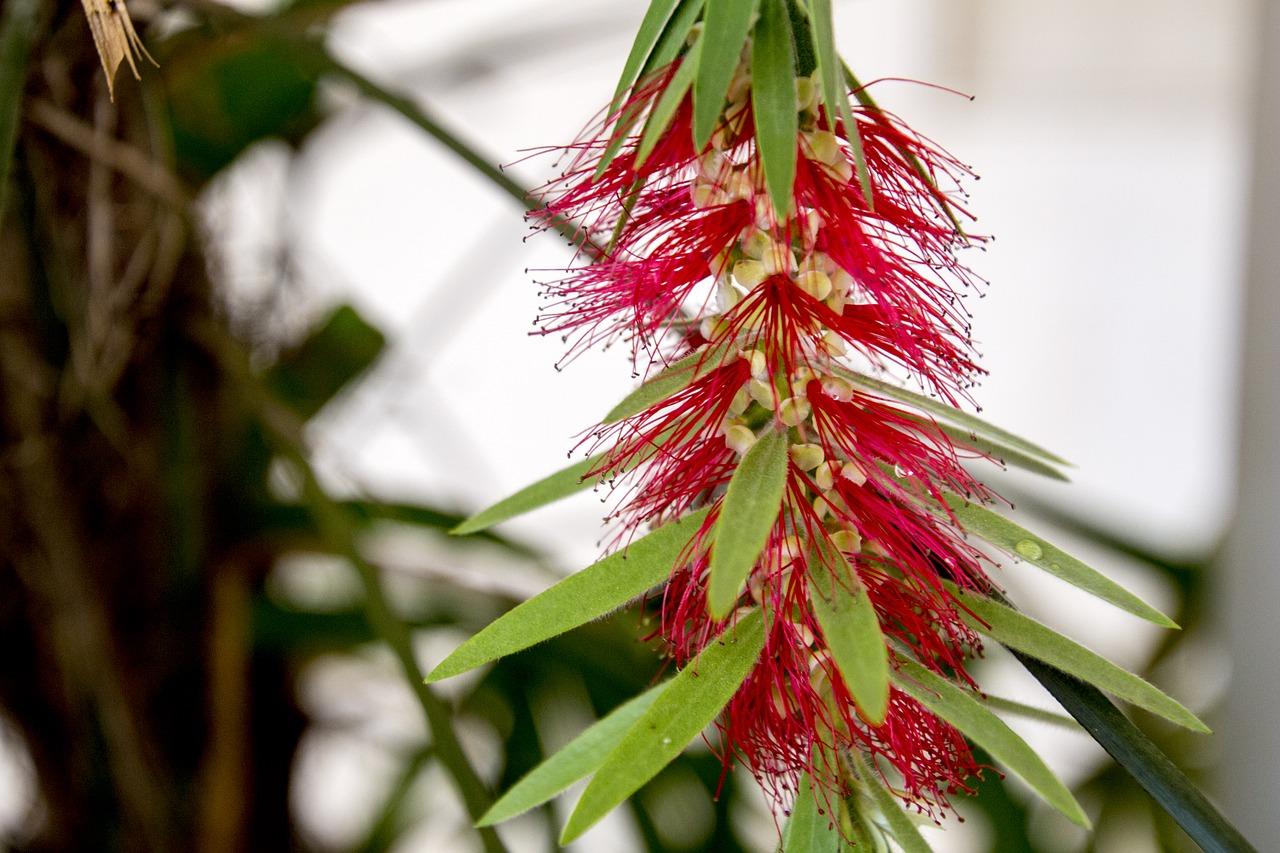 地段价值评估要点