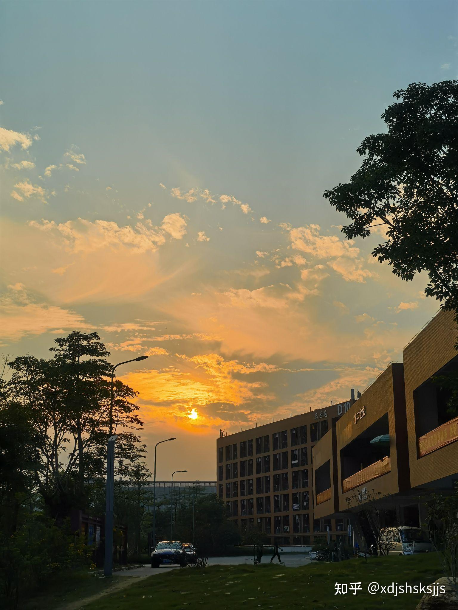 佛山科学技术学院的校园环境如何