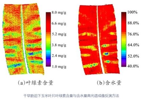 光谱技术如何辨别物质？常见物质的特征波段详解 - 知乎