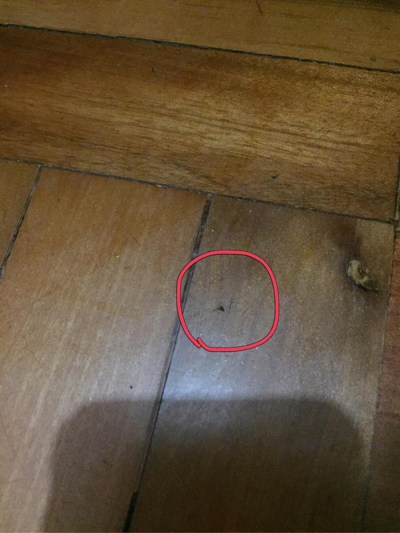 pxscloud,com网站|www,zihhz,com高速进入|www,tlulaok7,com