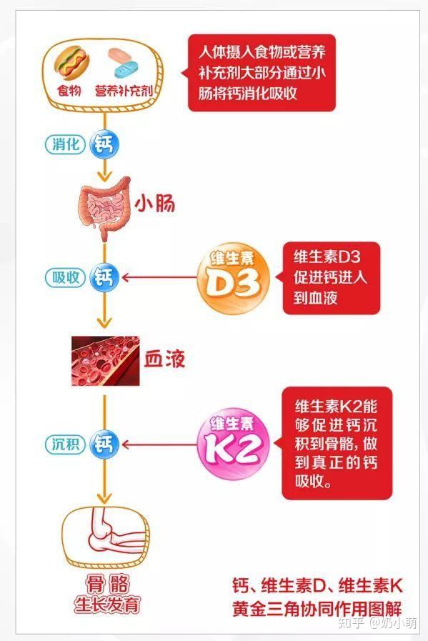 如何选择钙剂,科学补钙~ - 知乎