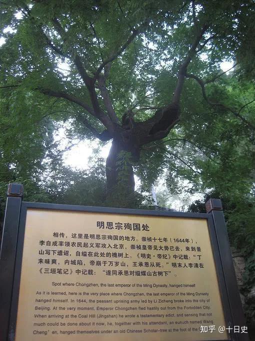吊死崇祯皇帝的“歪脖子树”，300多年过去了，现状如何？