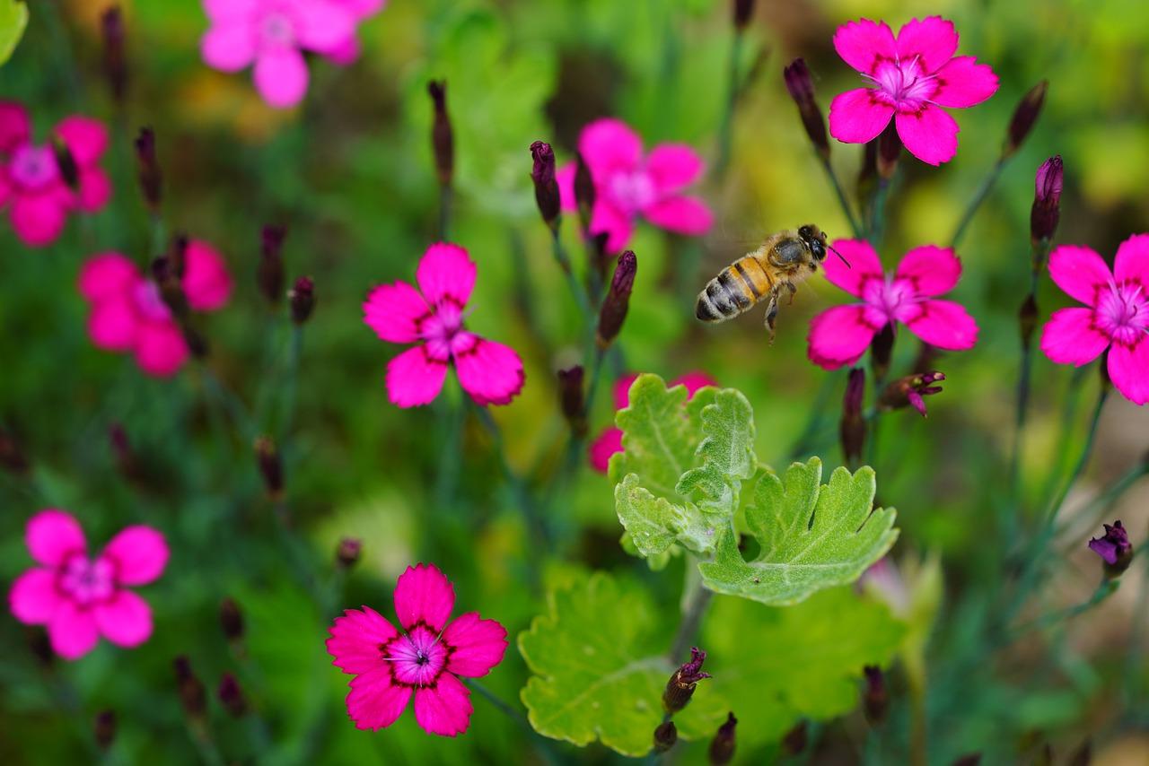 3. 秋月园交通状况