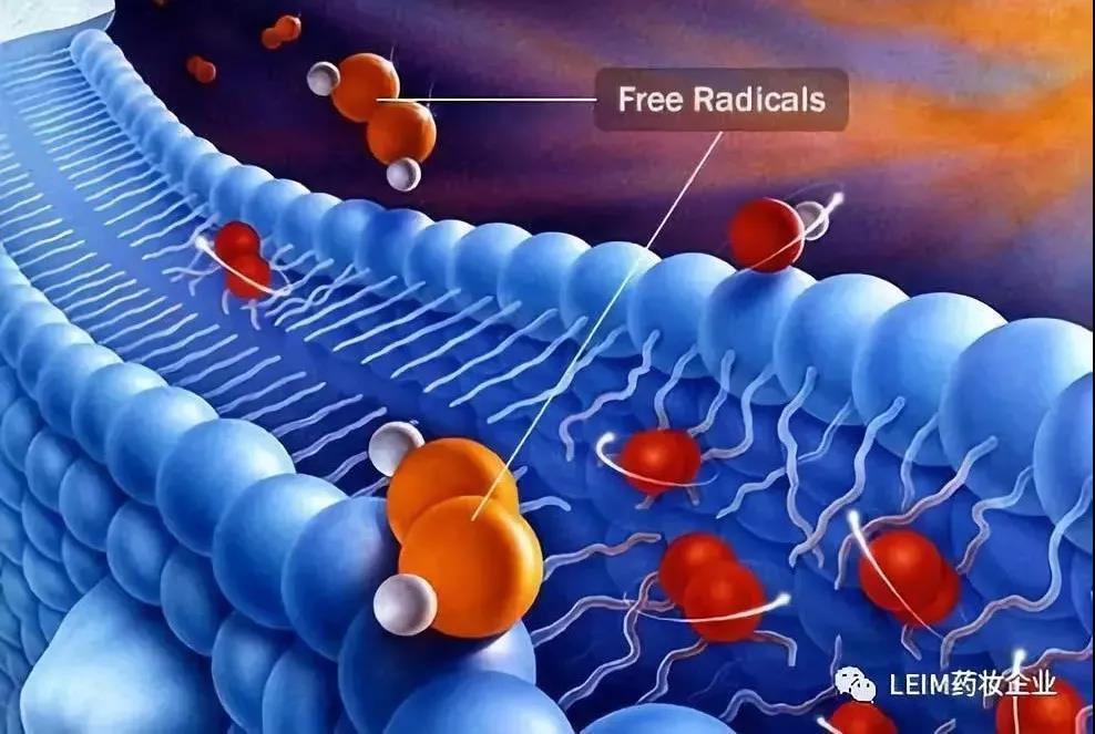 v2-a48d99bb763a664fb0859844cacd685e_1440w.jpg?source=172ae18b