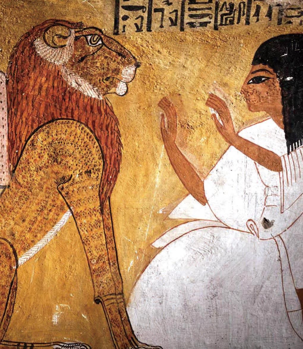 猫为什么在古埃及被人们称为神? 