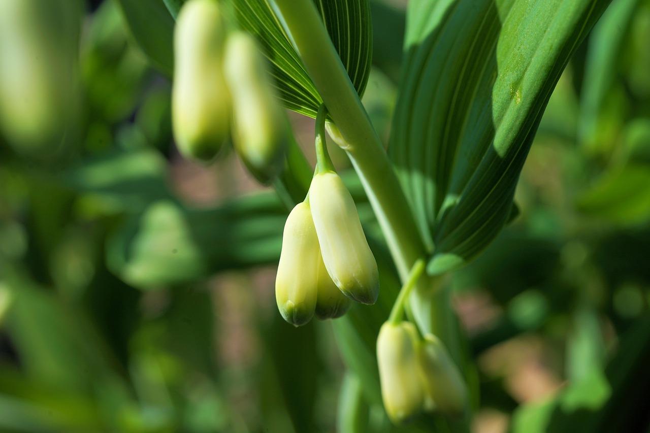 4. 优质教育资源