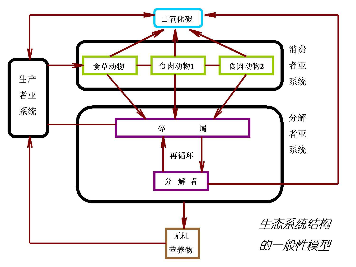 生态系统结构 