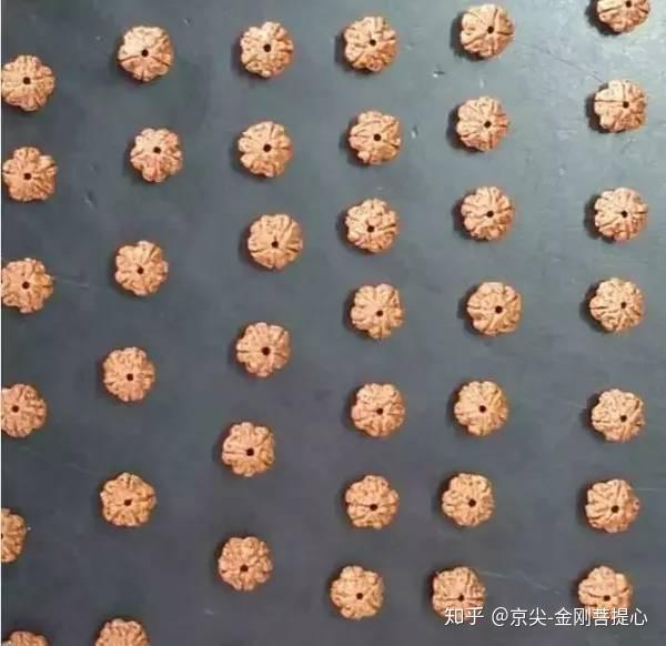 文玩堂：刑天深沟大梅花金刚菩提24+mm 最强金刚菩提桩型排行榜，很全面！（建议收藏） - 知乎