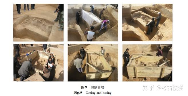 平遥弓村遗址出土猪骨骨架的现场保护及整体提取南普恒 - 知乎
