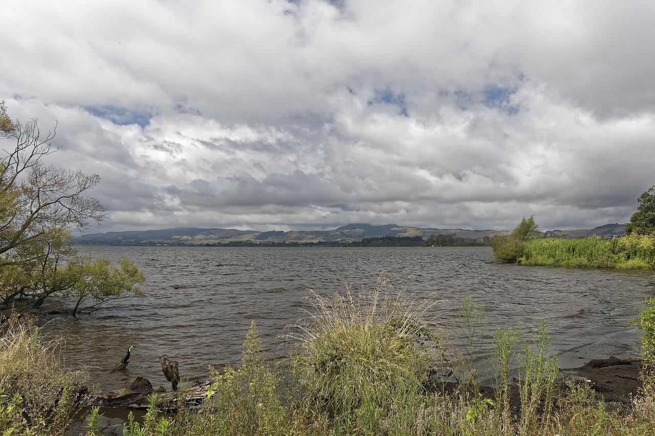 语言生动，文采飞扬