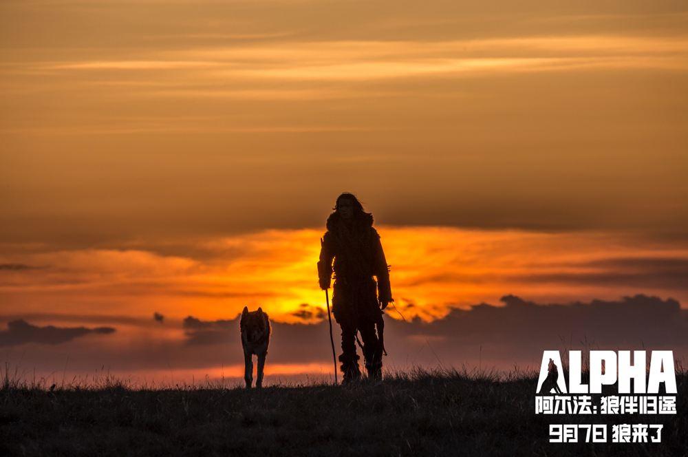 阿尔法 狼伴归途 人狼情未了 知乎 阿尔法 狼伴归途 人狼情未了 知乎