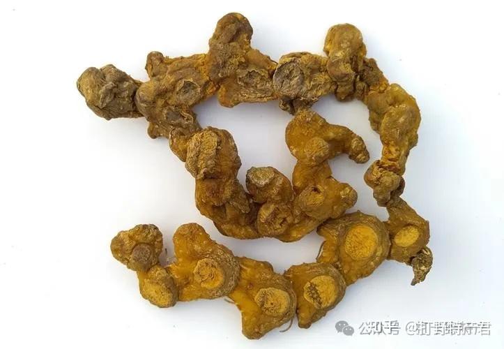 黄精的药用价值 - 知乎