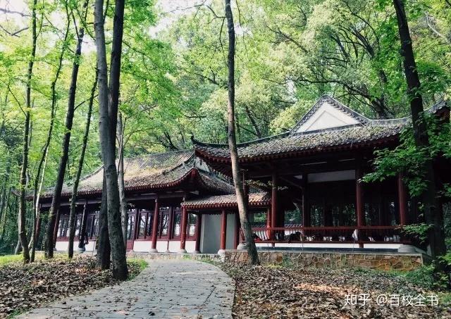 如何评价华中科技大学?-华中科技大学男朋友