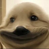 Zhihu profile picture for @mutations