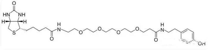 Biotin-PEG4-Tyramide，生物素-PEG4-酪胺，主要作为标记物，用于标记蛋白质、核酸等生物分子 - 知乎