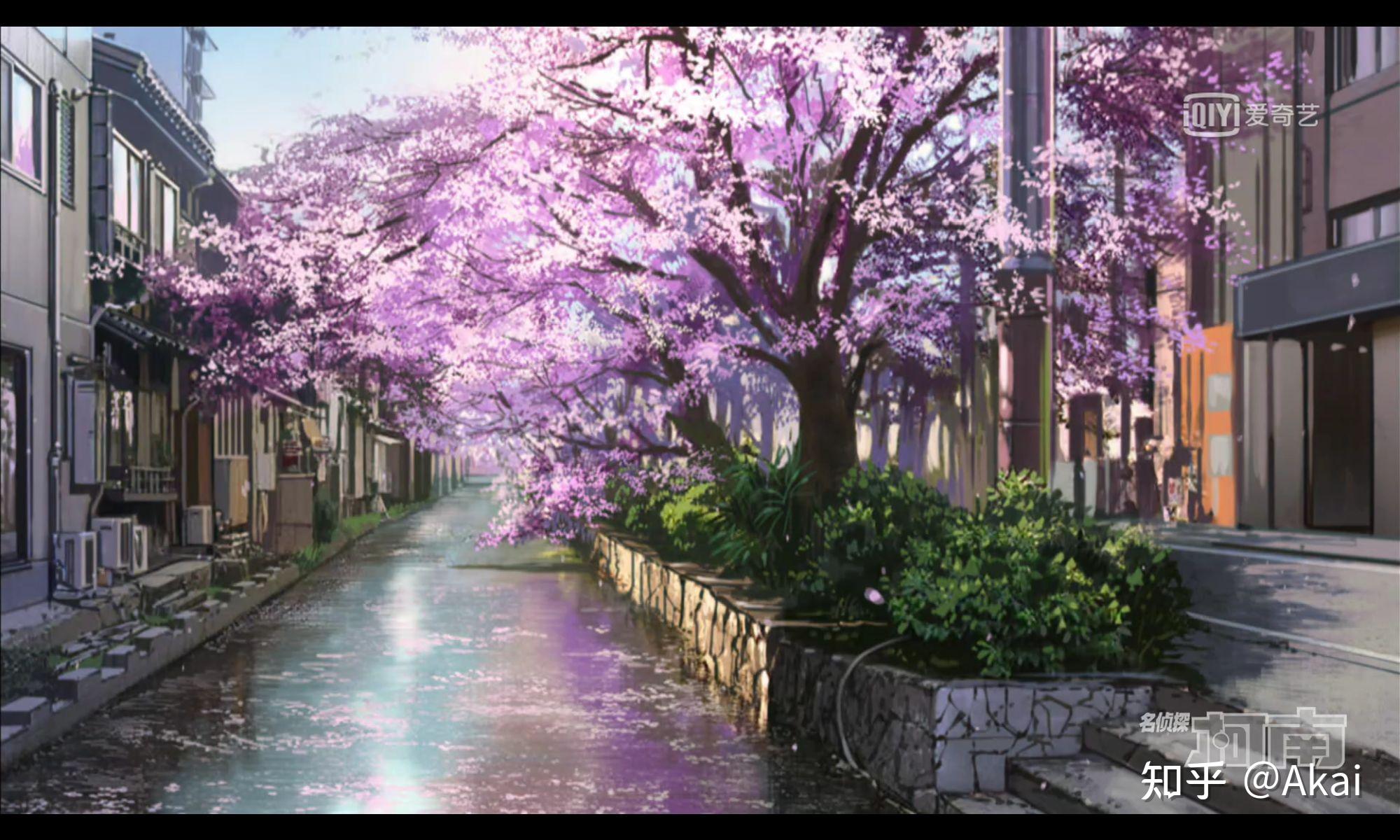 动画名侦探柯南有没有什么好看的全面屏壁纸