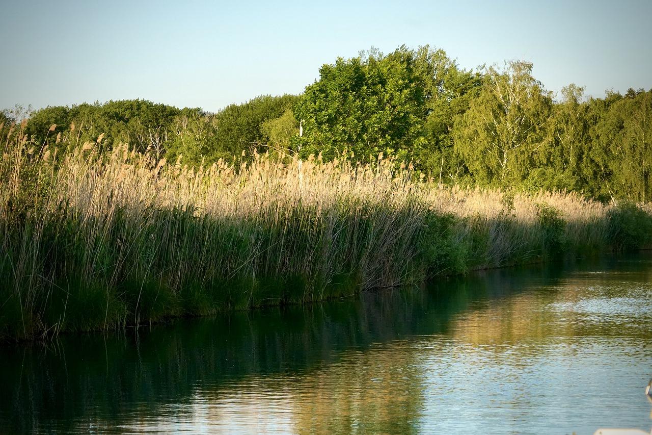 5. 顶级配套分析