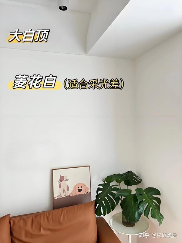 纠结乳胶漆颜色,看这篇就够啦! - 知乎
