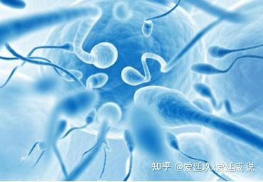 男生患上精囊炎怎么办？精囊炎是如何引起的？ - 知乎