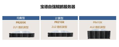宝德服务器究竟扮演着哪些关键角色？  第1张