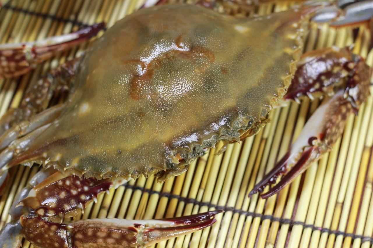 4. 蟹味餐馆盘点