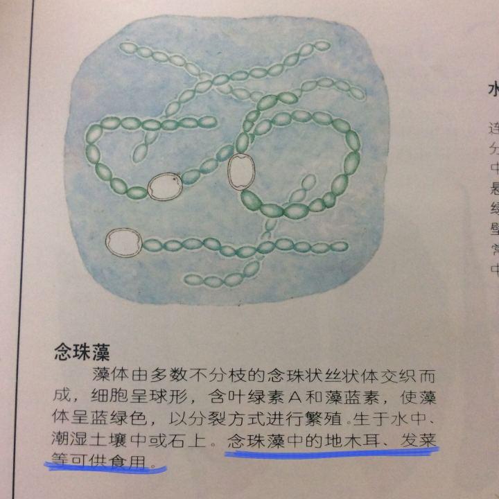 如何评价舌尖上的中国第三季