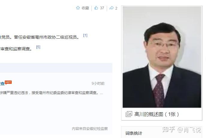 高川涉嫌严重违纪违法被查,他的人生这样倒下令人叹息