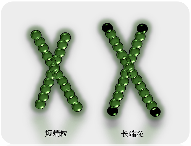 【端粒UKB科普】第二篇 - 知乎