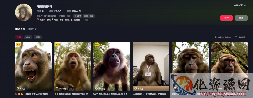 最新爆火的峨眉山猴子短视频制作教程，条条点赞10w+，谁做谁火【教程+提示词】