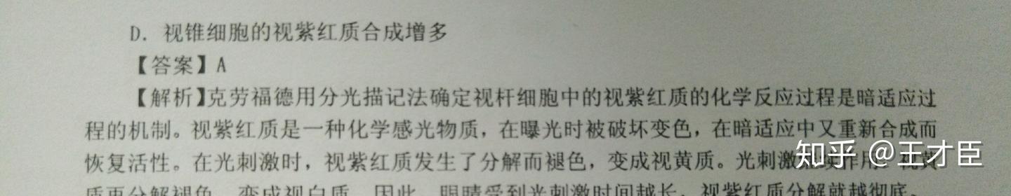暗适应 - 知乎