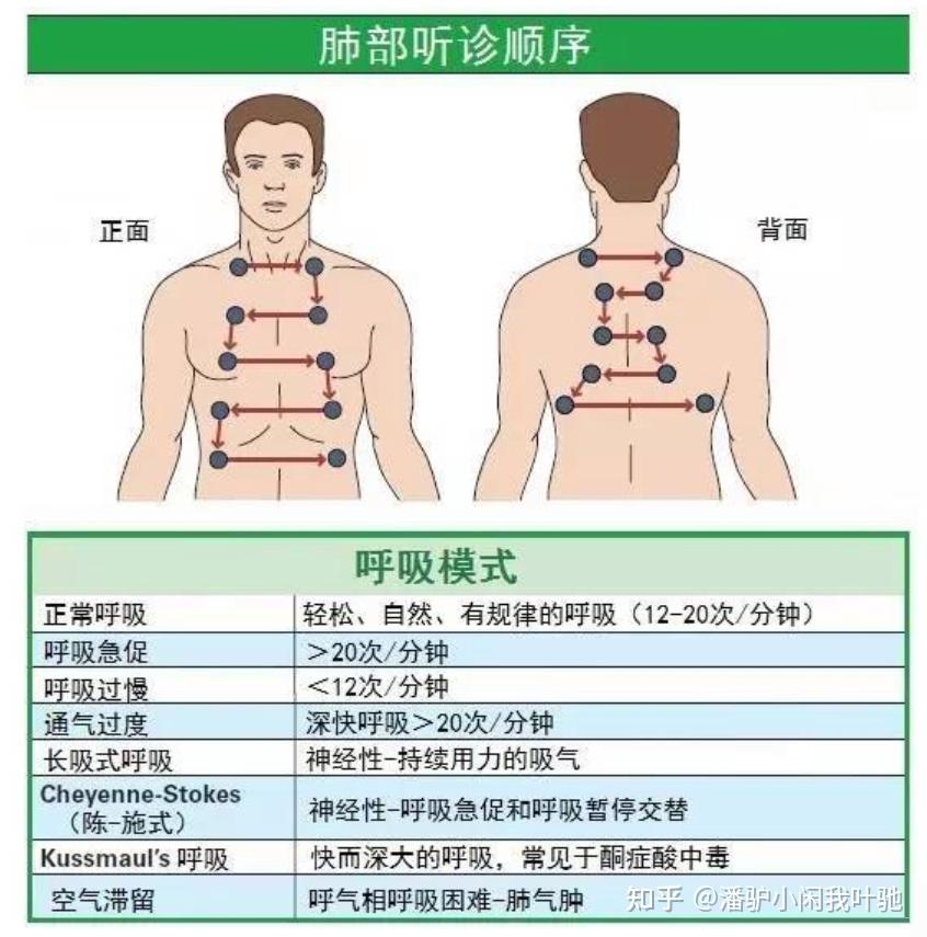 听心率医生把听诊器放在左右乳头上听是对的吗