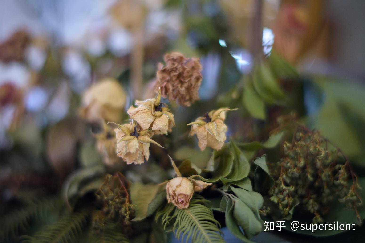 鏡頭買賣,收購鏡頭