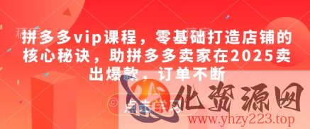 拼多多vip课程，零基础打造店铺的核心秘诀，助拼多多卖家在2025卖出爆款，订单不断