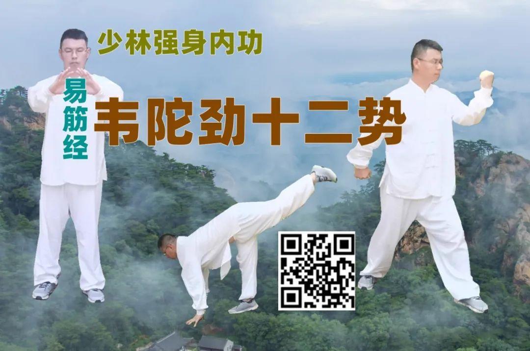 功法:内气与外气的概念 - 知乎